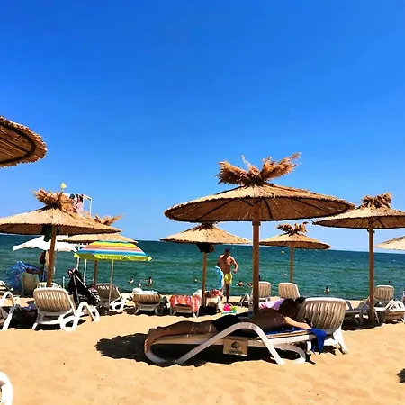Seaside Nest *