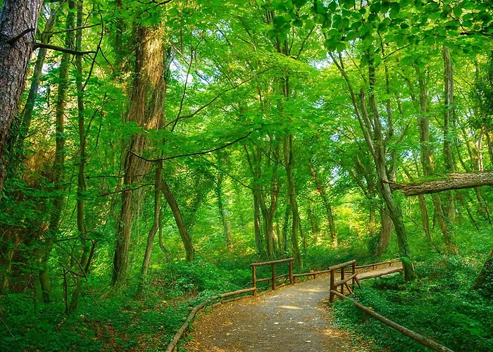 公寓 Seaside Nest *